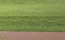 Mondhof 4